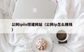 天津公网ipiis搭建网站（公网ip怎么赚钱）